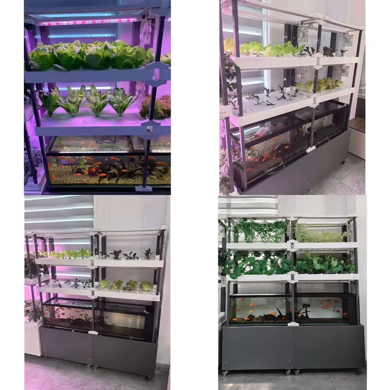 Hydroponic Kit - for Seeda Hydroponics System Eco Friendly