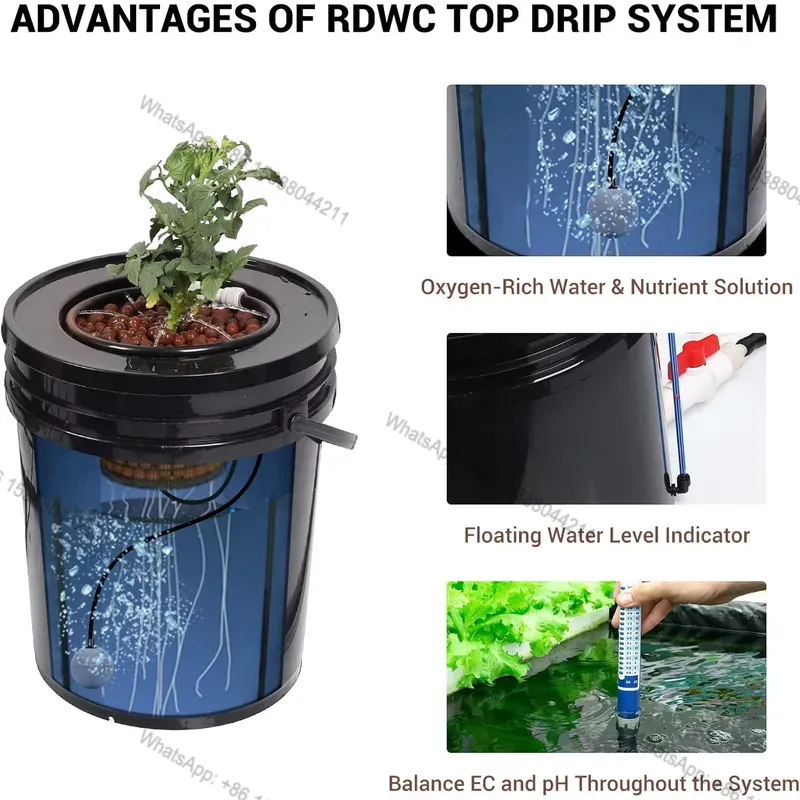 Hot Sale RDWC Feed Drip , Reci - огляд і ціна Hydroponic Kit