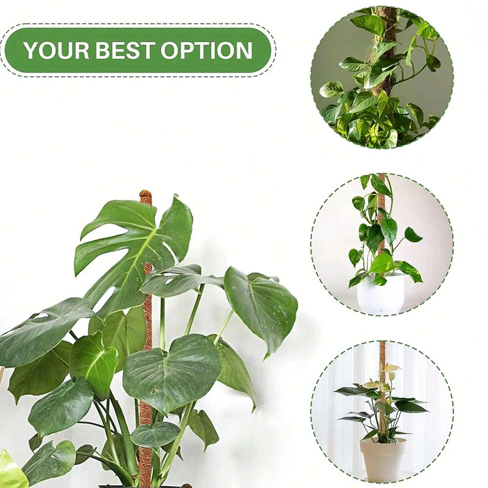 Monstera Plant Moss Pole Suppo - огляд і ціна Indoor Herb Garden