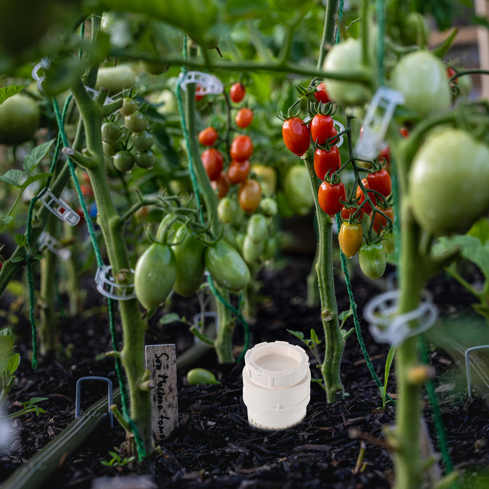 Inground Plastic Worm Compost  - огляд і ціна Compost Bin