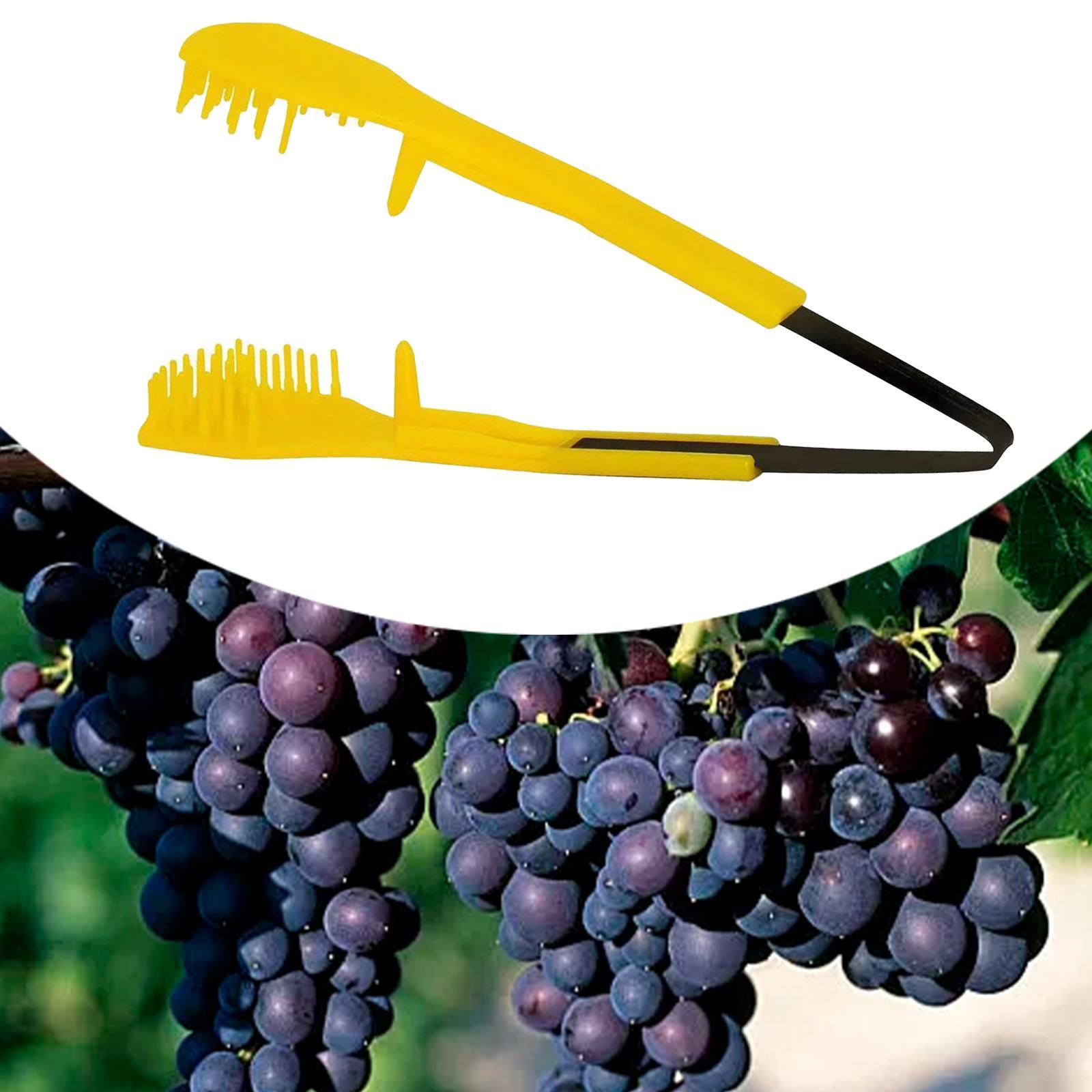 Standard Pruning Shears Compac - огляд і ціна Pruning Shears