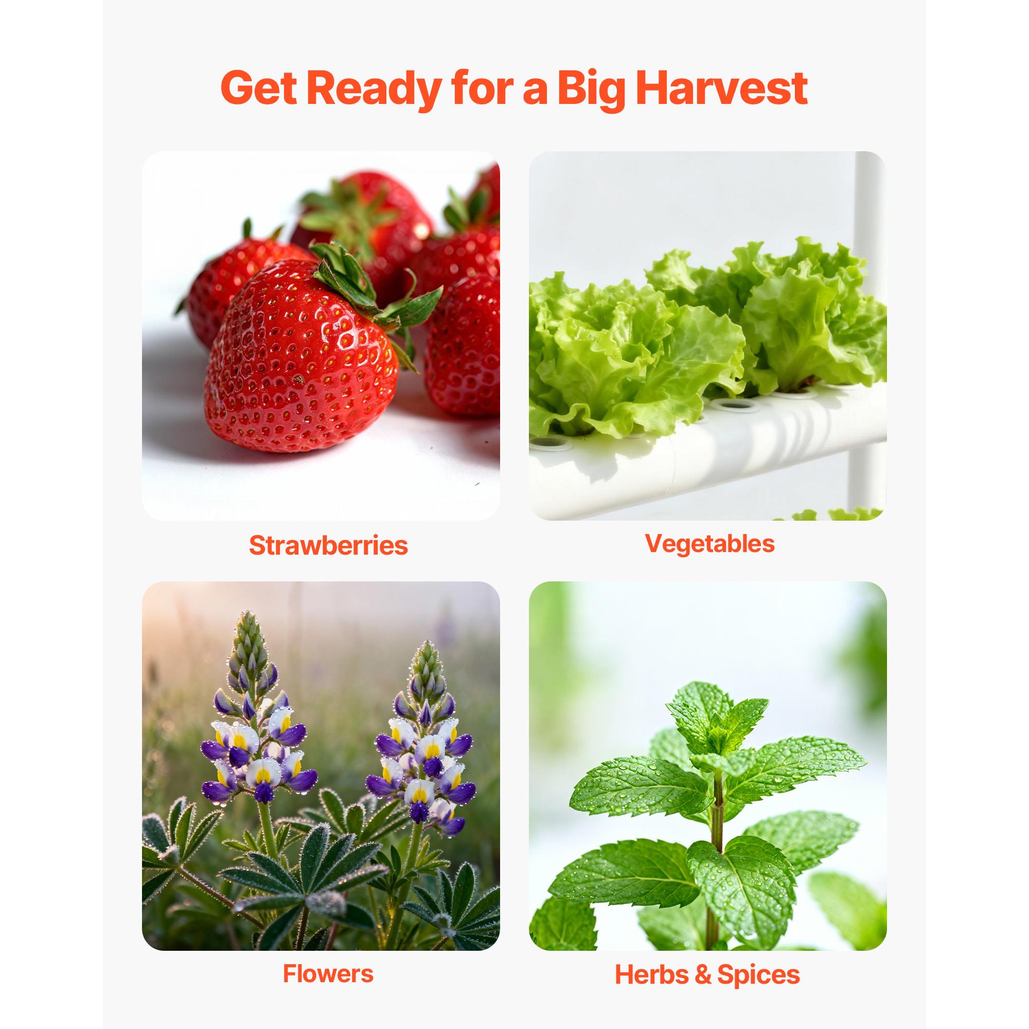 3 Tier 90 Sites Hydroponic Gro - огляд і ціна Indoor Herb Garden
