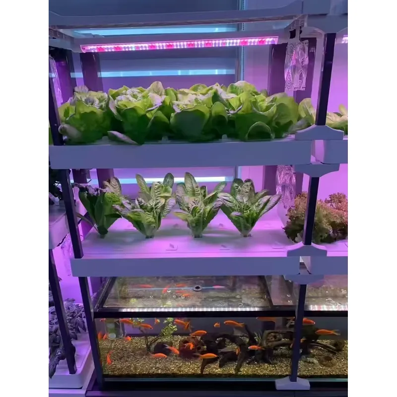 for Seeda Hydroponics System E - огляд і ціна Hydroponic Kit