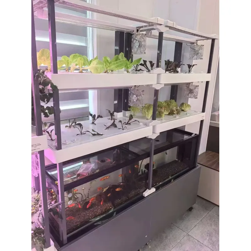 for Seeda Hydroponics System E - огляд і ціна Hydroponic Kit