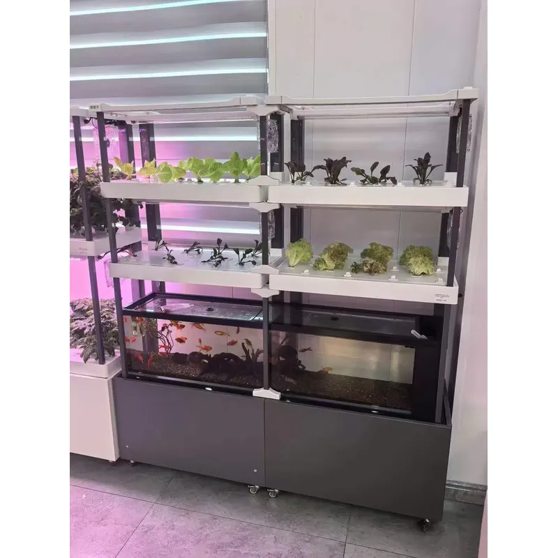 for Seeda Hydroponics System E - огляд і ціна Hydroponic Kit