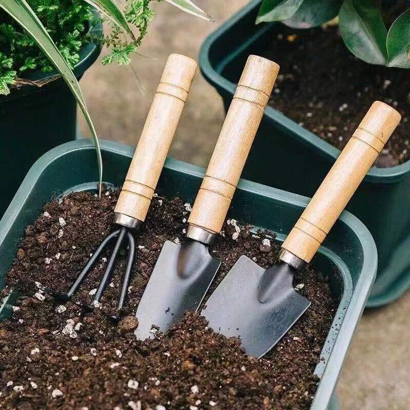 3PC/1Set Mini Gardening Tools  - огляд і ціна Indoor Herb Garden