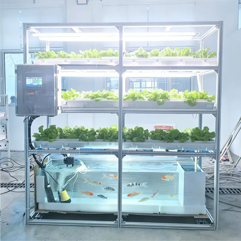 Intelligent Automatic Hydropon - огляд і ціна Hydroponic Kit